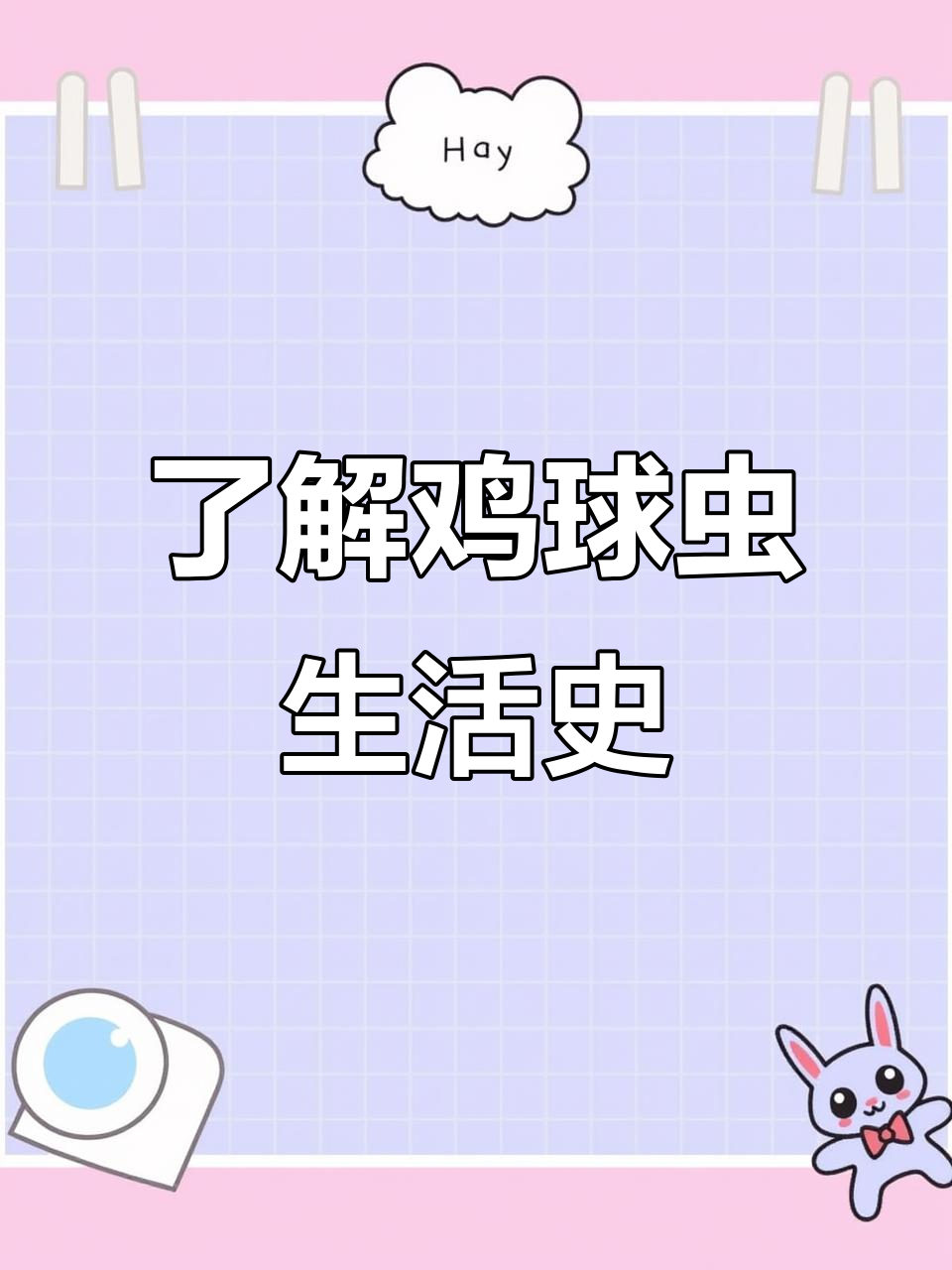 鸡球虫发育全过程揭秘,防治关键全掌握