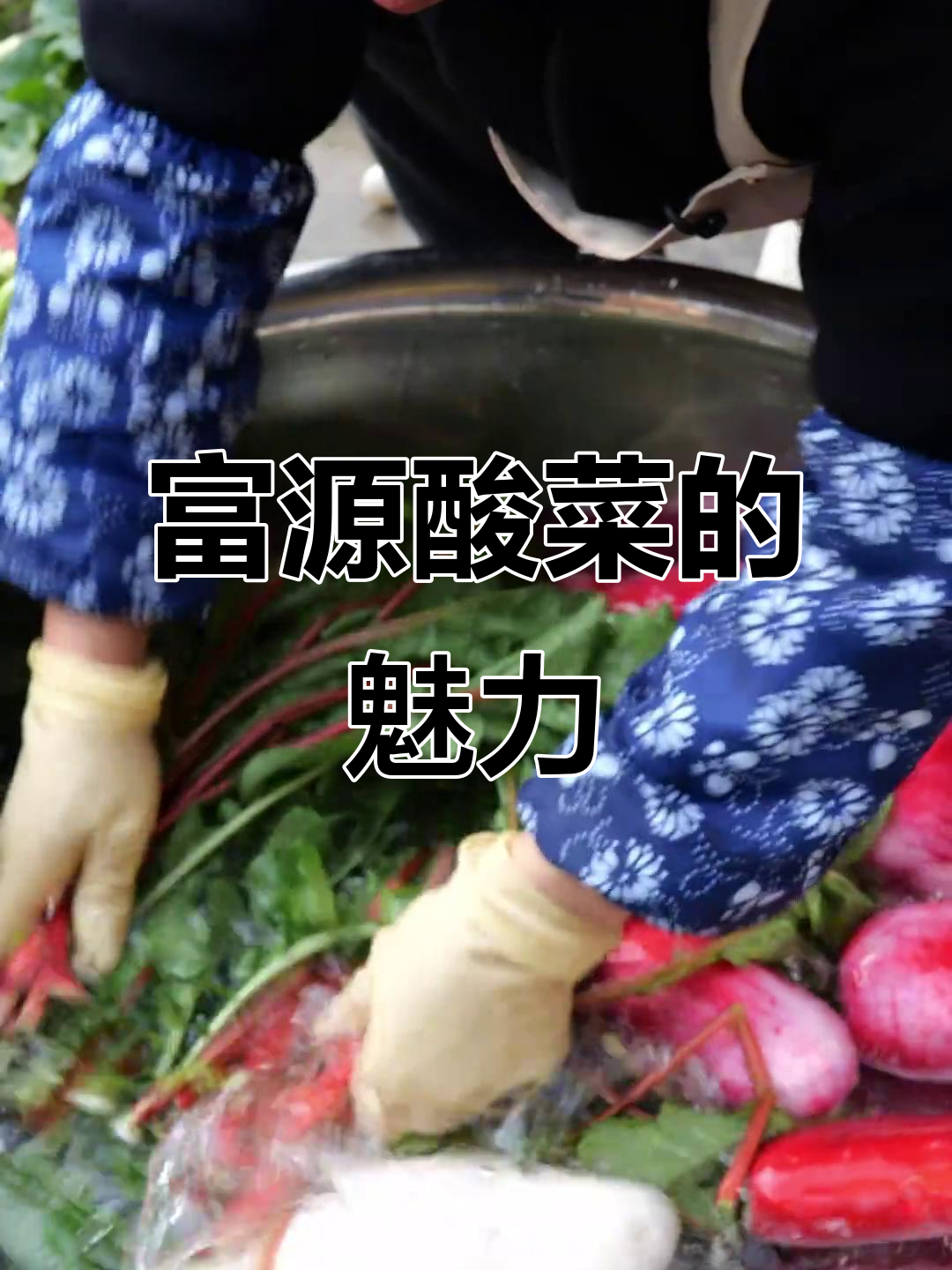云南富源酸菜,简单又美味,怎么做都让人停不下来!