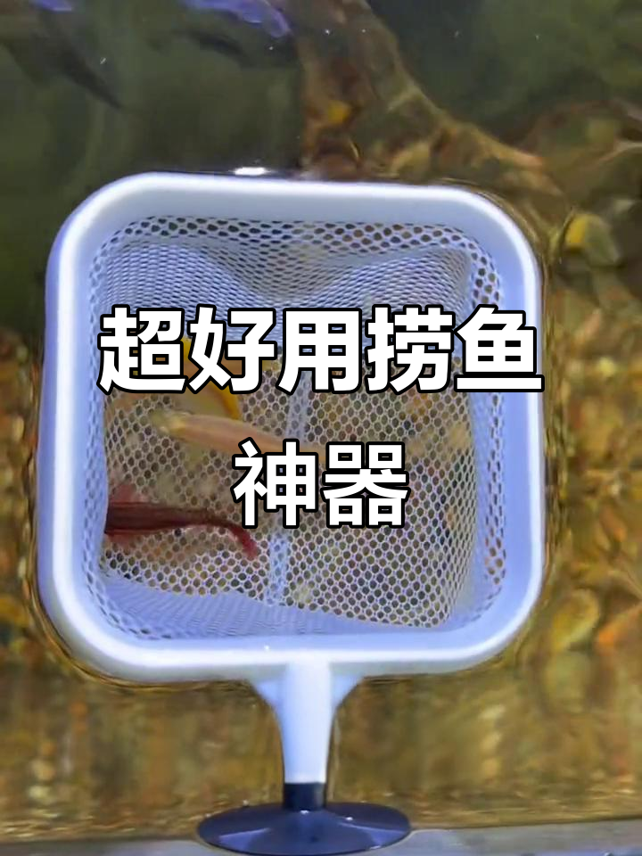 3D立体鱼网兜,轻松捞小鱼不伤身