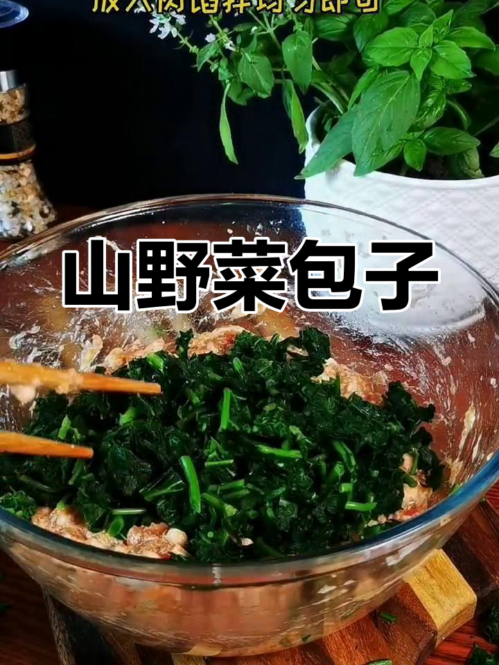 山野菜大肉包,大叔一起做