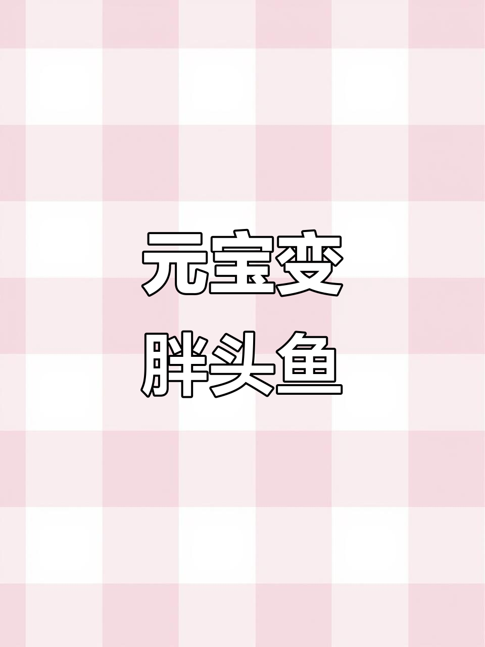 偷拍被发现,元宝变身萌系胖头鱼表情包