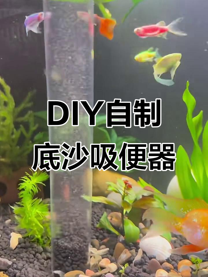 自制底沙吸便器,DIY鱼缸清洁更轻松