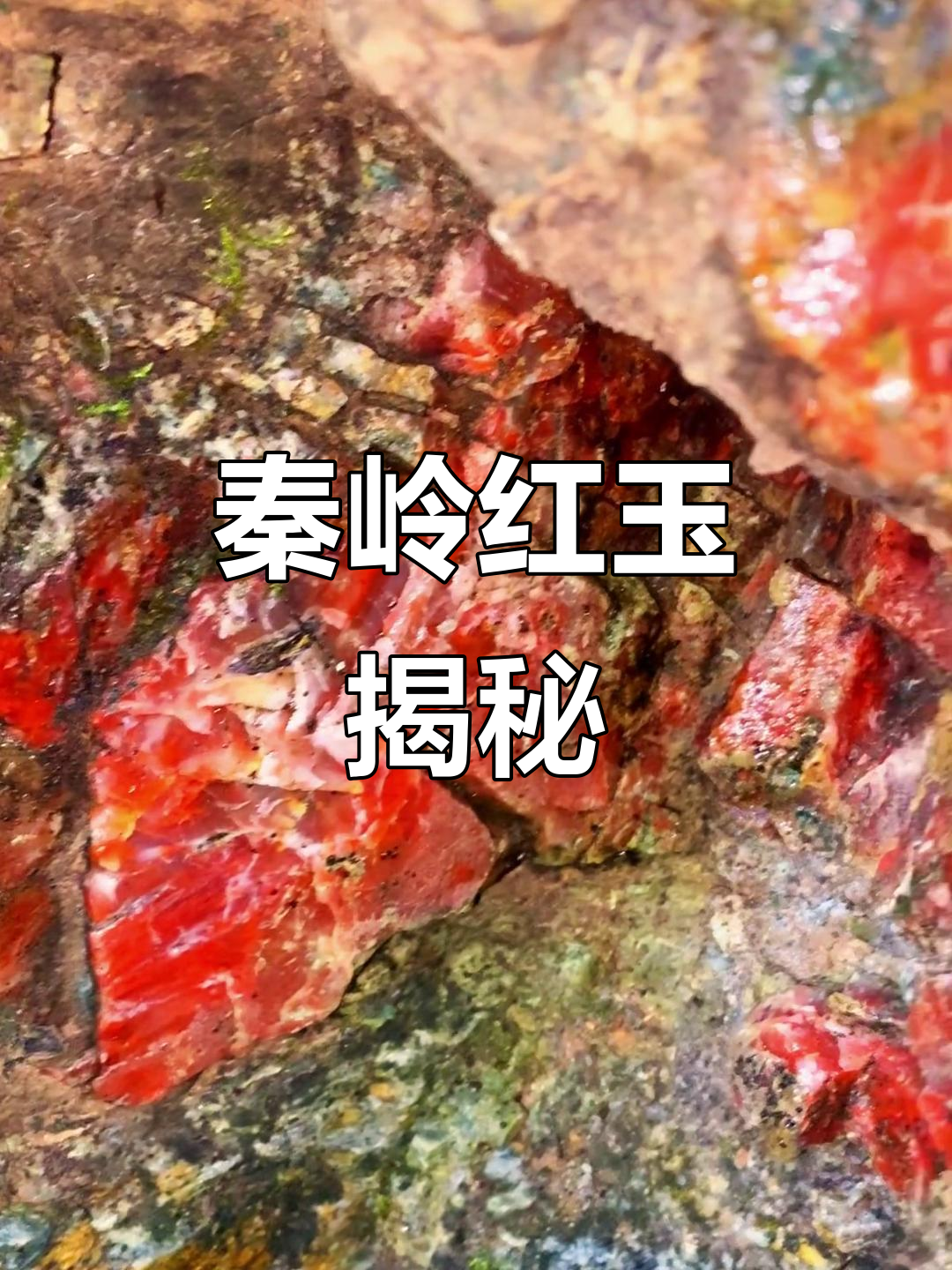 秦岭山脉中的神秘红色矿脉，竟然不是鸡血石！