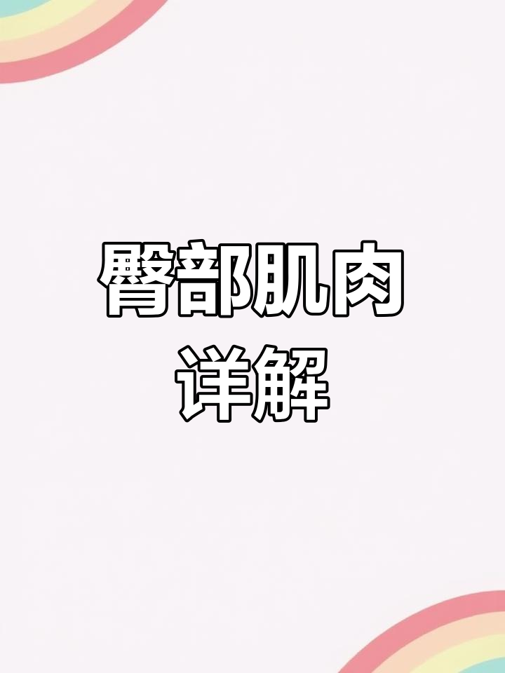 臀肌结构与功能解析
