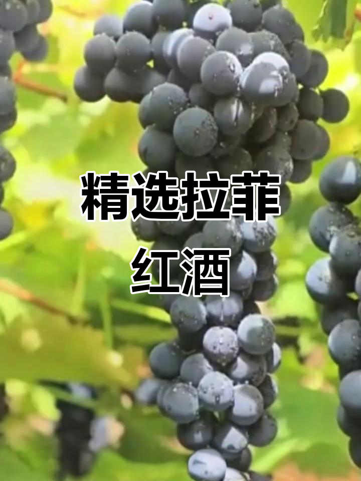 拉菲波尔多干红,整箱原装进口,750ml六瓶