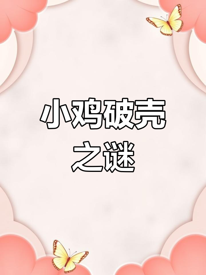 鸡蛋逐个孵化,小鸡却集体破壳?