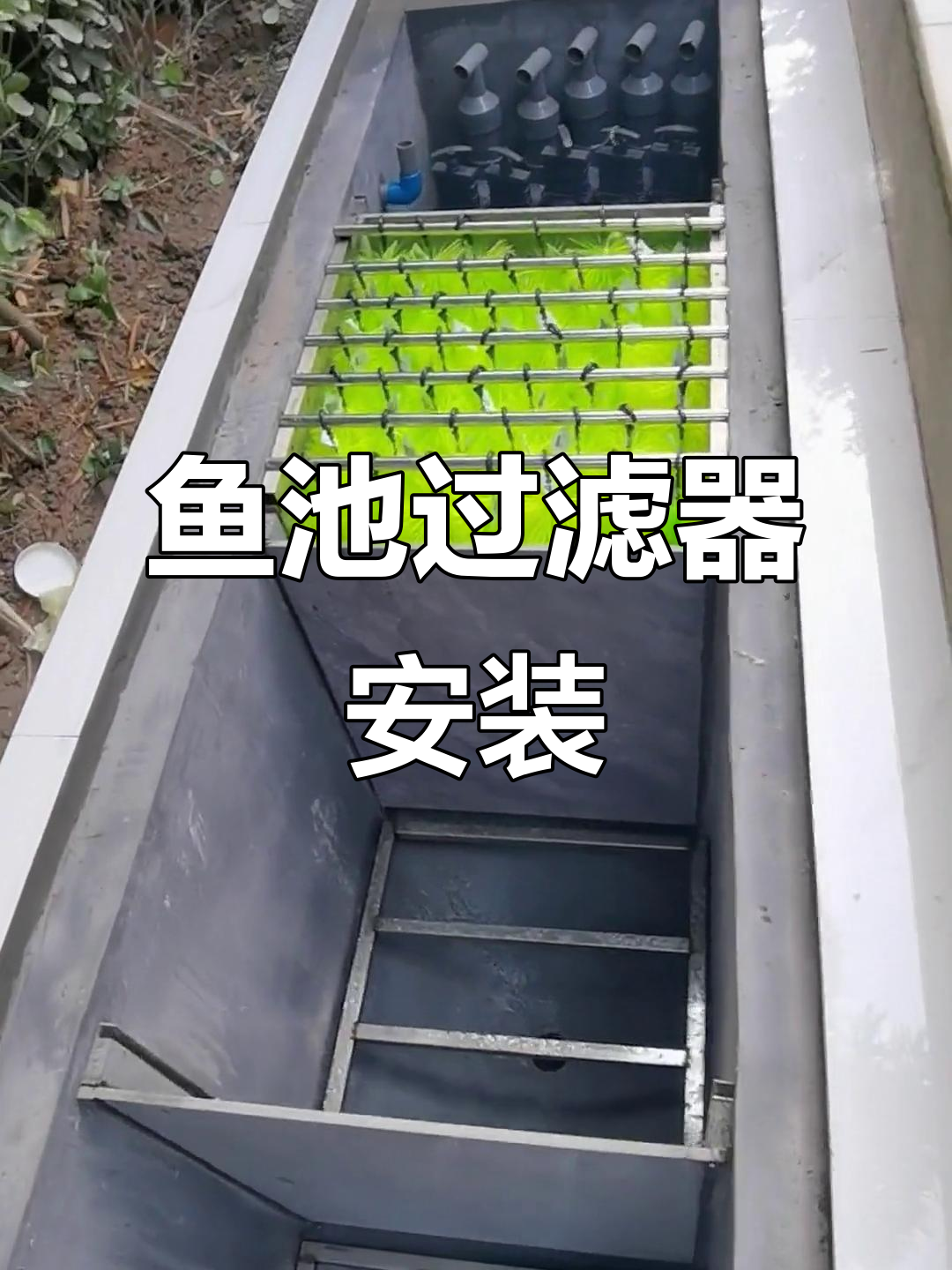 鱼池过滤系统建造全流程,打造完美锦鲤环境