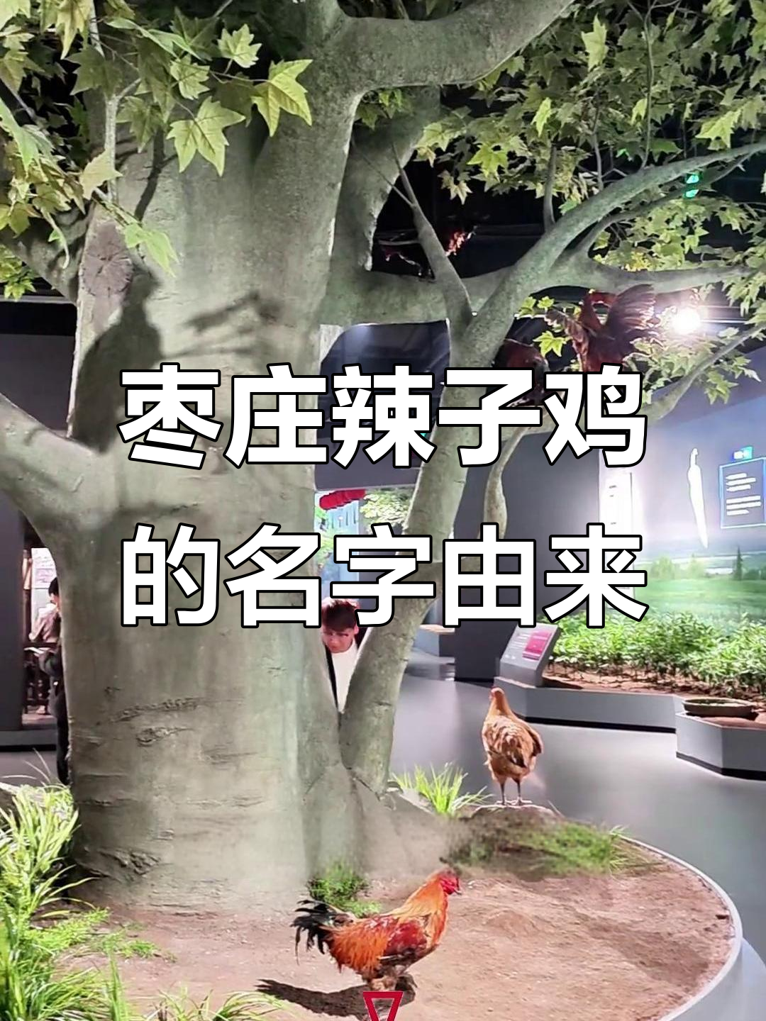 枣庄辣子鸡的“笋汁”名字由来，竟然与这种生活习性有关