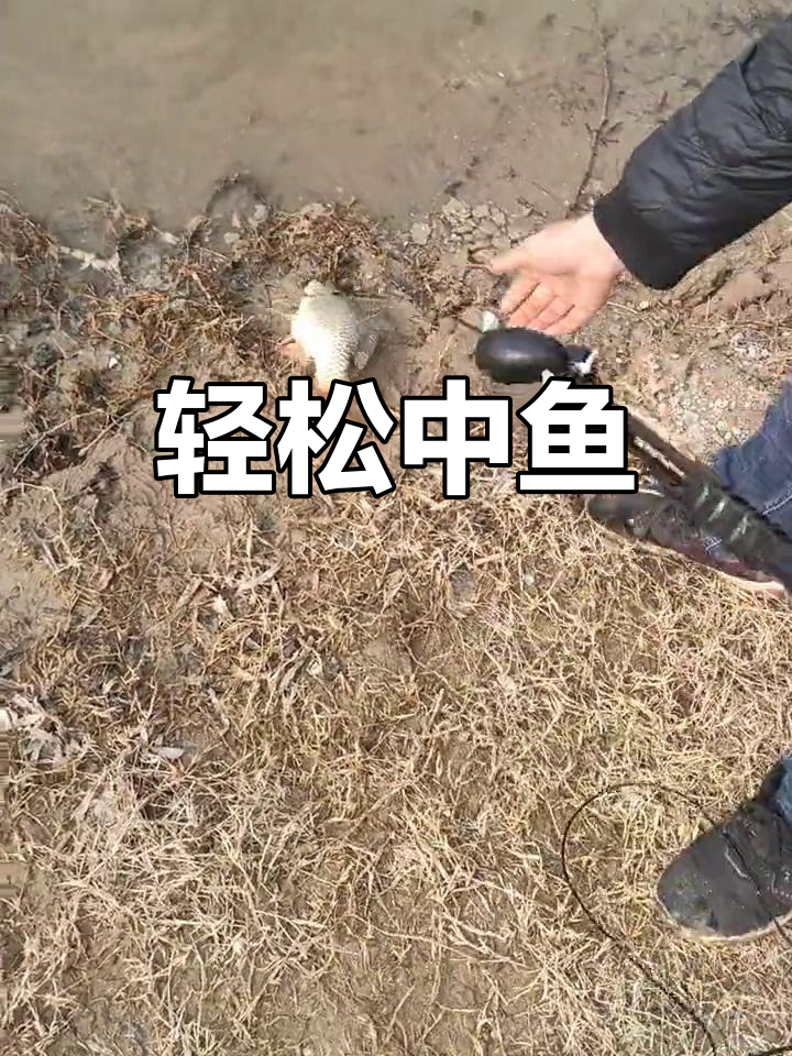 新款射鱼器成功捕捉