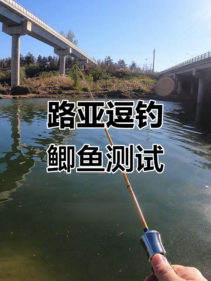冬季路亚逗钓鲫鱼,真的能成功吗?实测结果揭晓