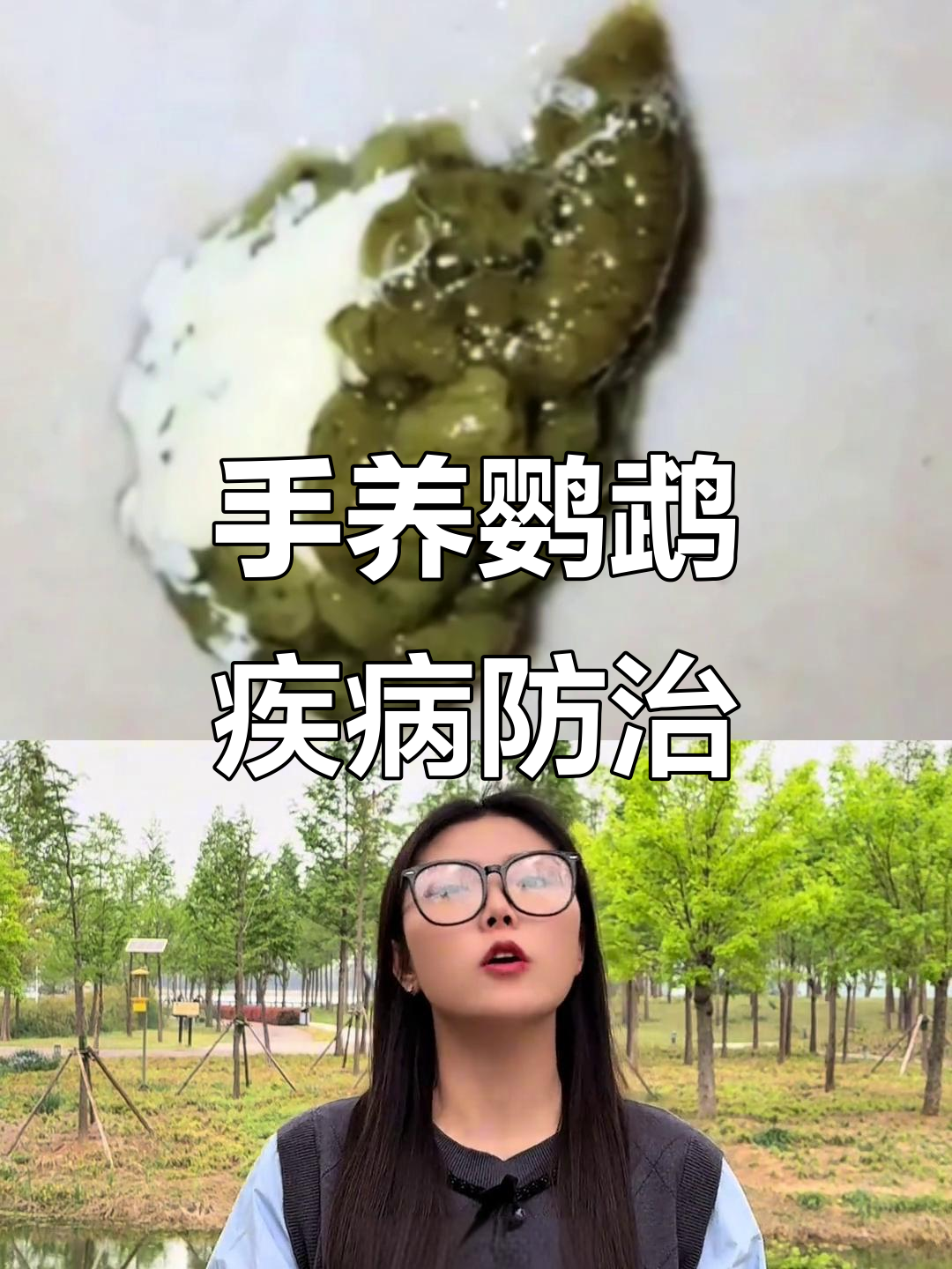 鹦鹉常见病与治疗方法,手养鸟必看!