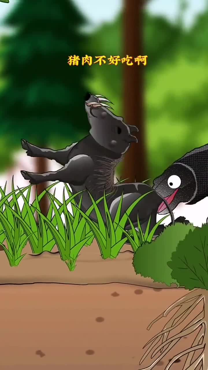 你知道巨蜥是怎么捕猎的吗?