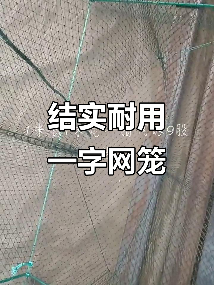一字网眼地笼,轻松捕捞十几斤大鱼