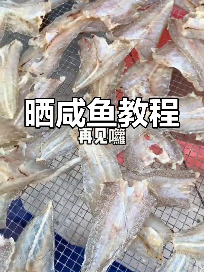 新鲜咸鱼晒太阳,口感完美