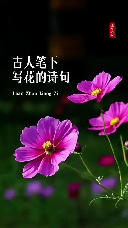 古人笔下写花的诗句