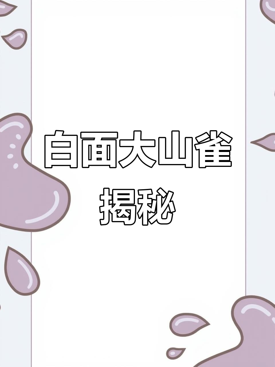大山雀:白脸王与模范夫妻的森林生活