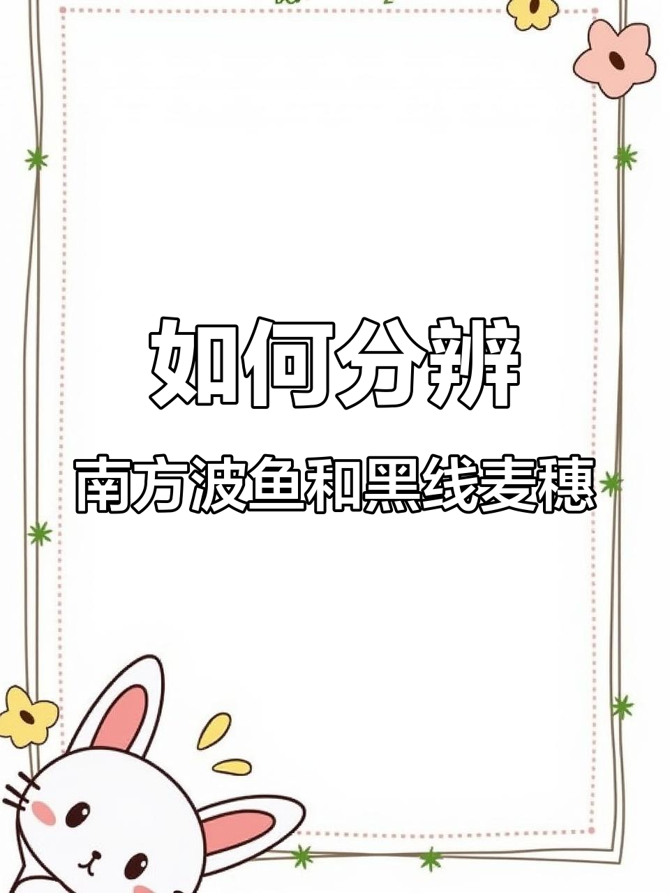 南方波鱼与黑线麦穗,如何区分?