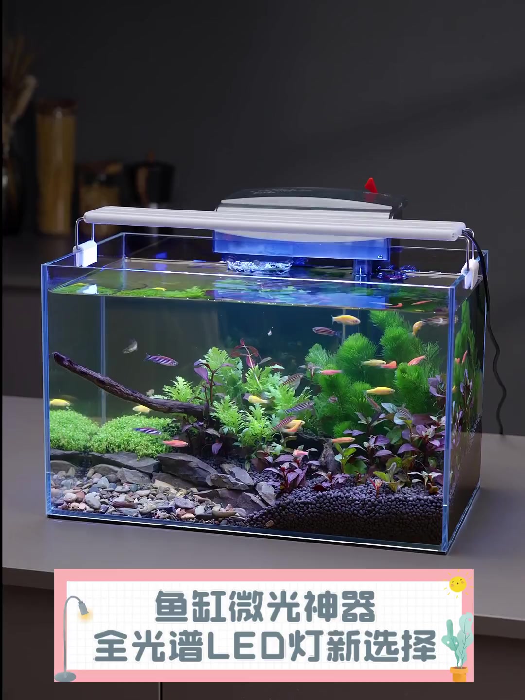鱼缸微光神器,全光谱LED灯新选择