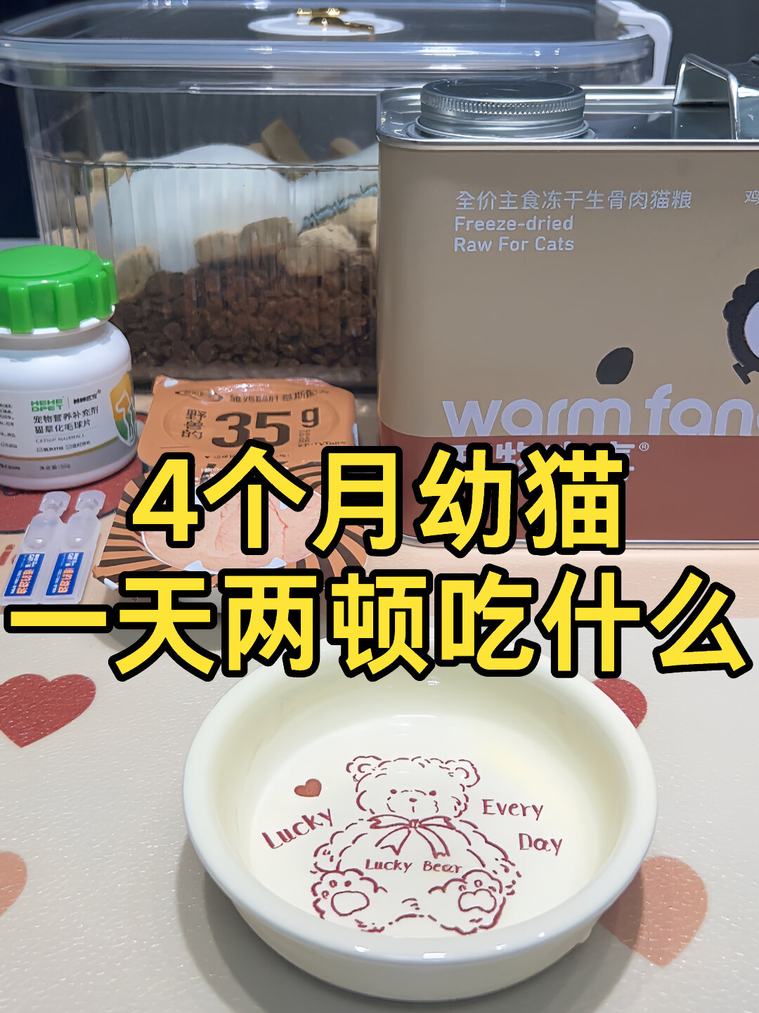 猫咪配餐|四个月幼猫一天配餐吃什么
