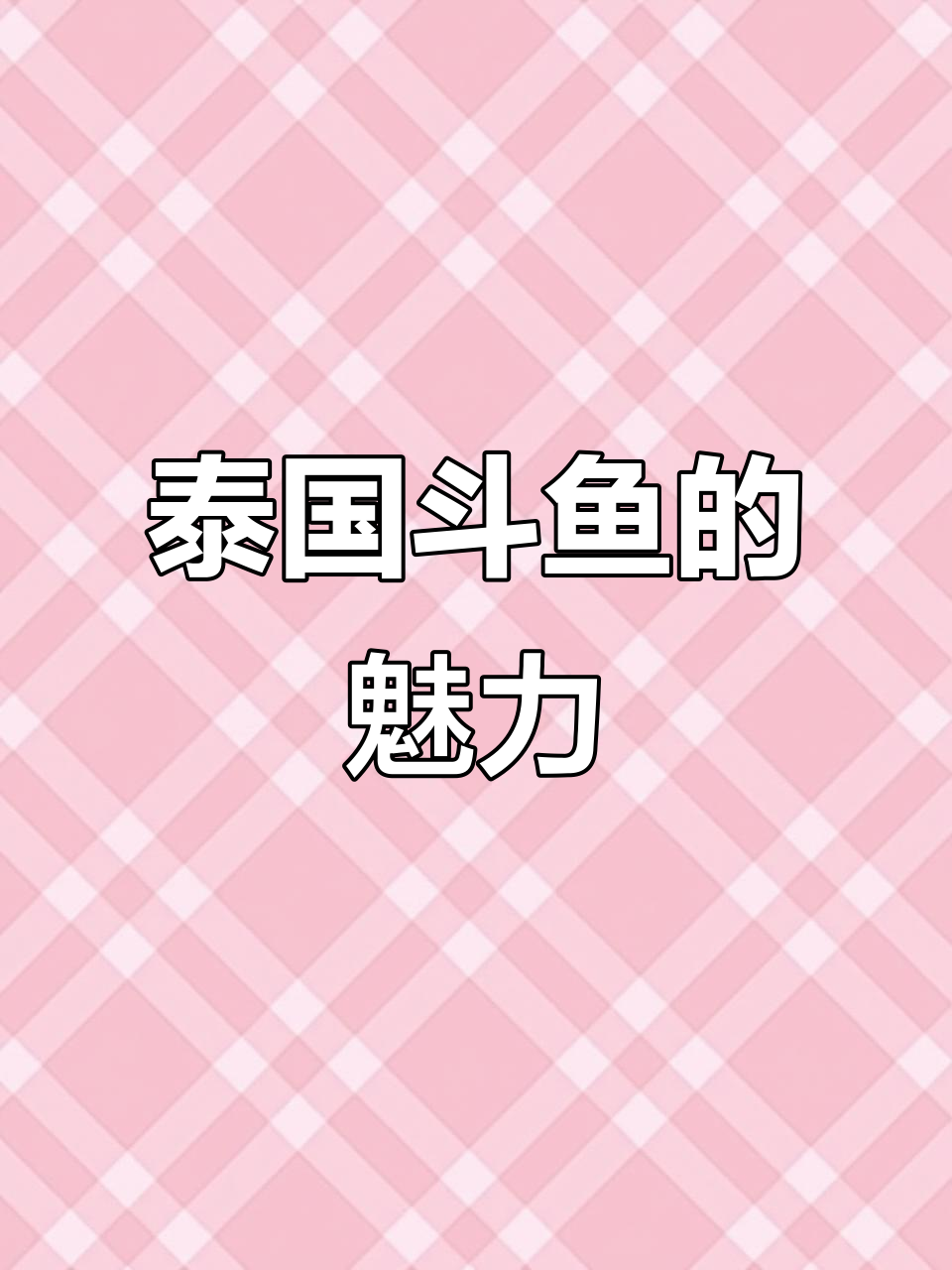 泰国斗鱼:水中火焰般的美丽,王者风范尽显