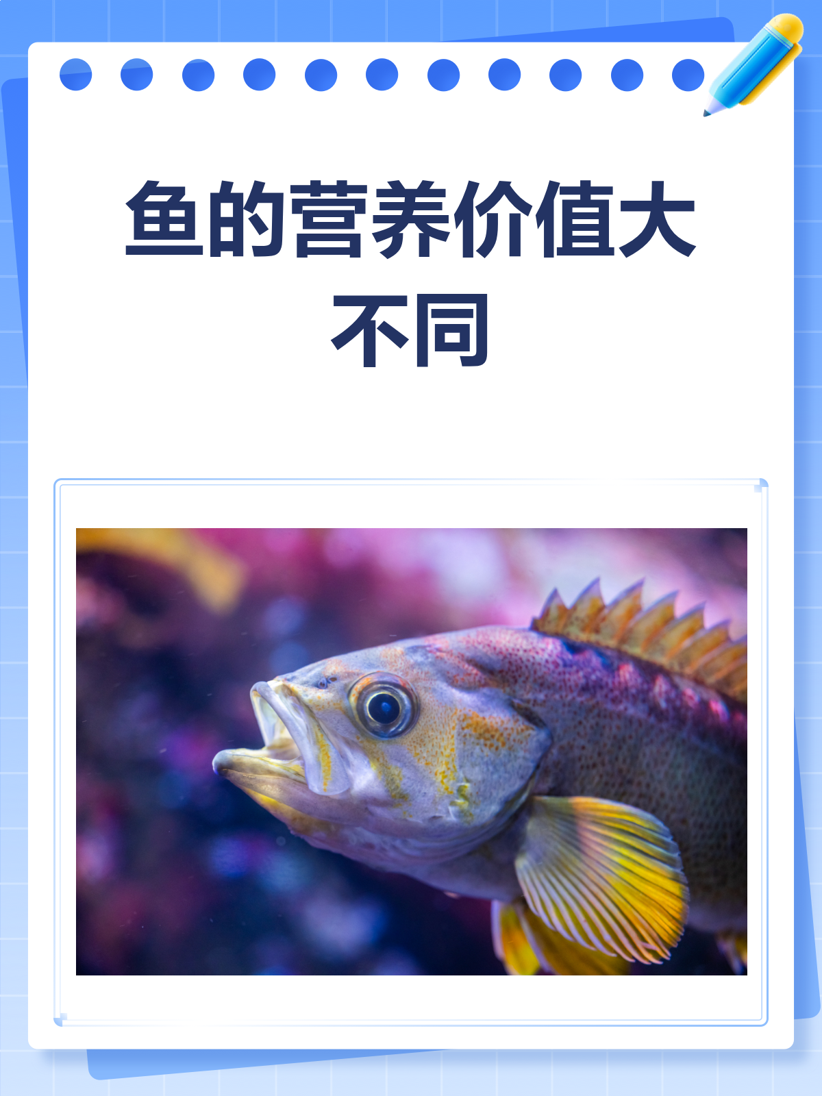 鱼的营养价值大揭秘!不同种类有差别吗?