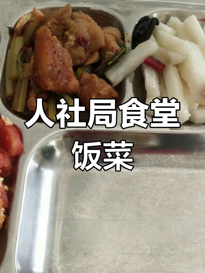 政府机关食堂的午餐体验