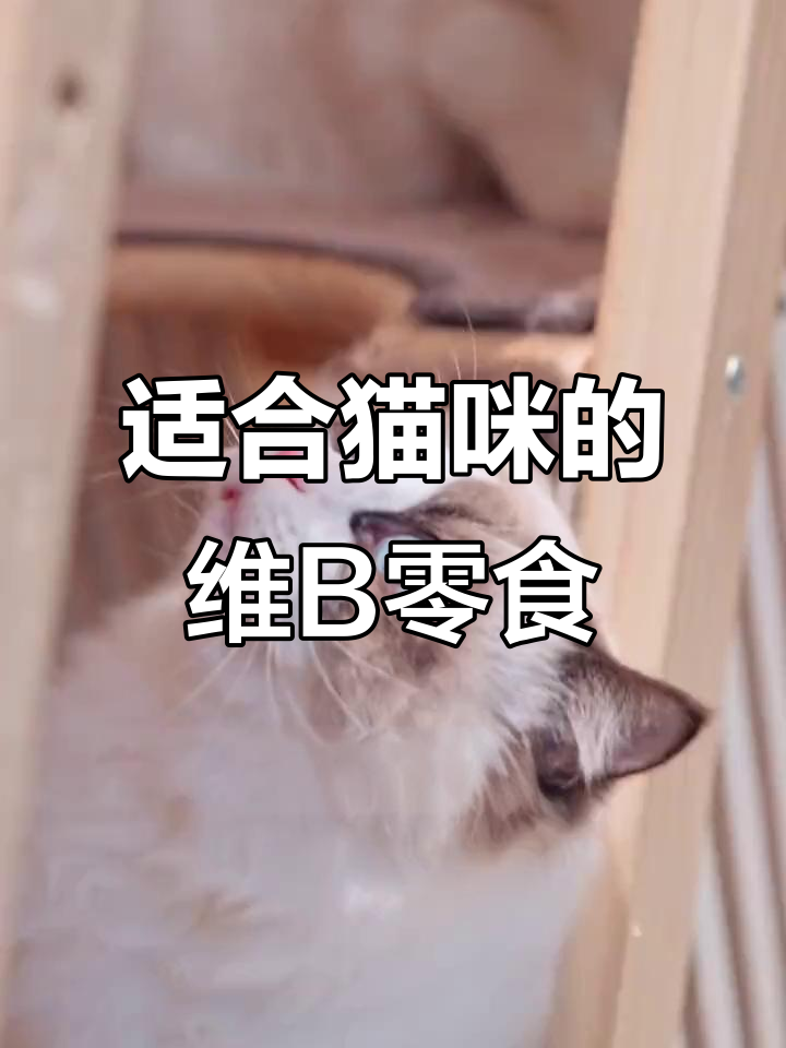 猫咪维生素补充秘籍，鲣鱼口味养肤膏让爱宠更健康