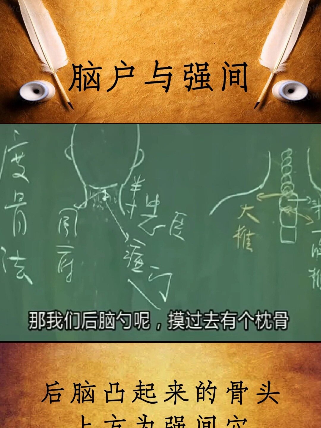 脑户穴与强间穴