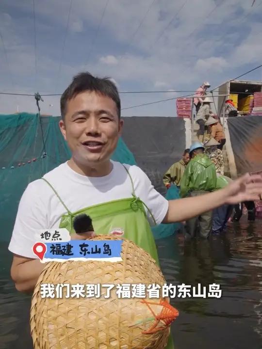 新华社三农溯源福建东山岛九节虾干!