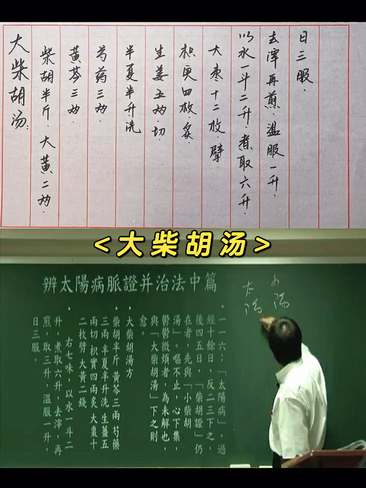 伤寒杂病论:大柴胡汤