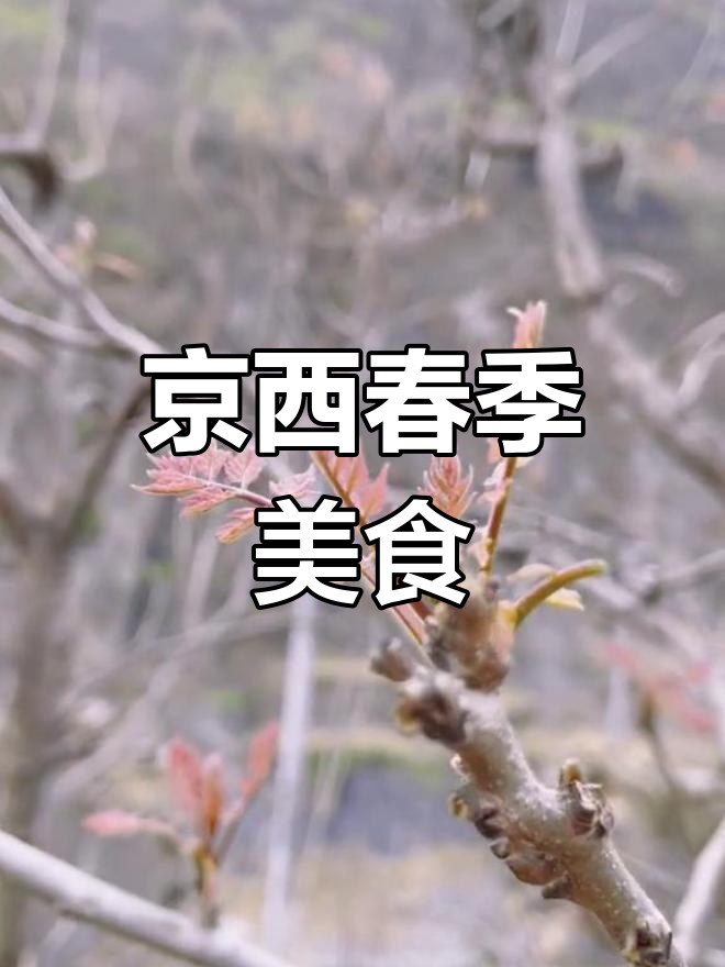 春天里的美味野菜:木兰芽的故事