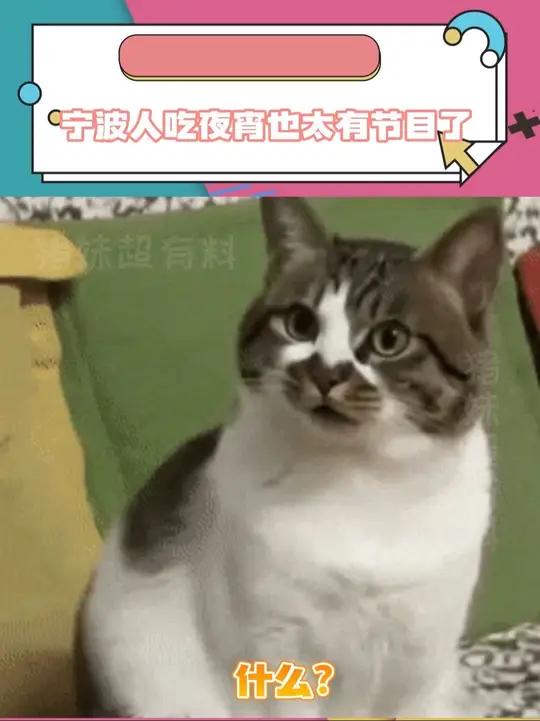 文案:下次建议全国巡演!真的想体验下吧～