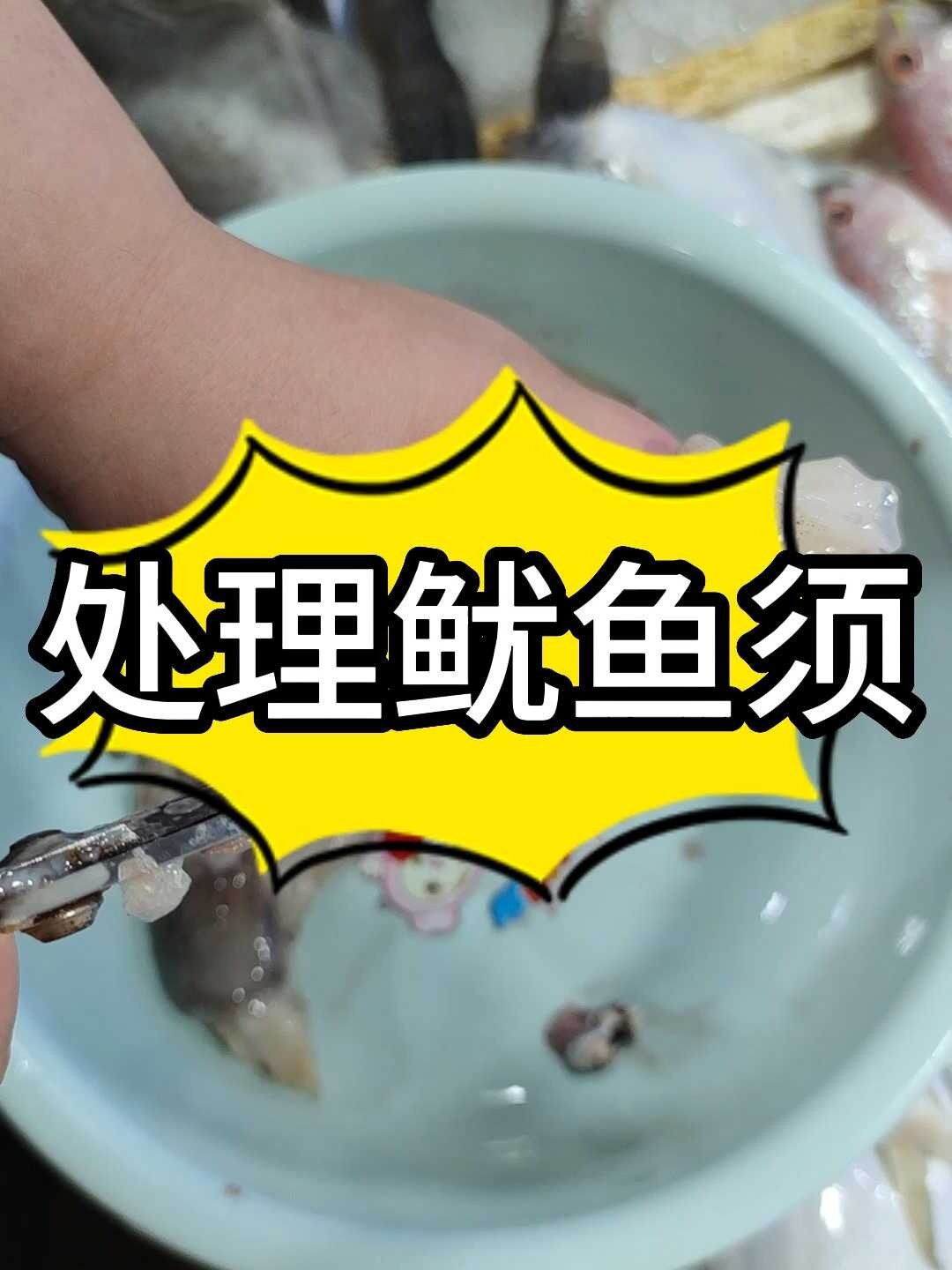 你会处理鱿鱼须吗