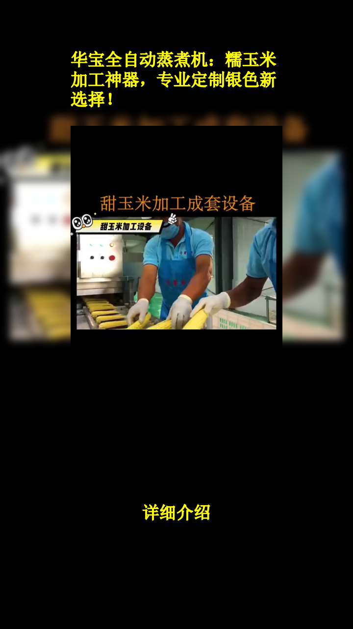 华宝全自动蒸煮机:糯玉米加工神器,专业定制银色新选择!