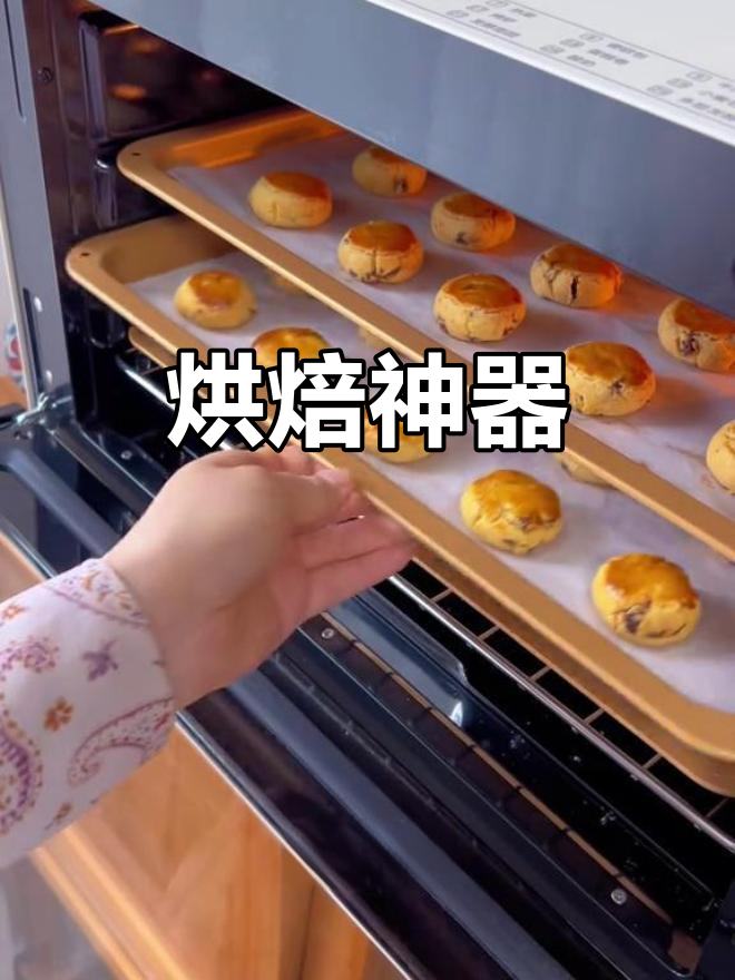 长帝大白鲸烤箱,蒸汽风炉设计,烘焙更均匀,轻松做出美味