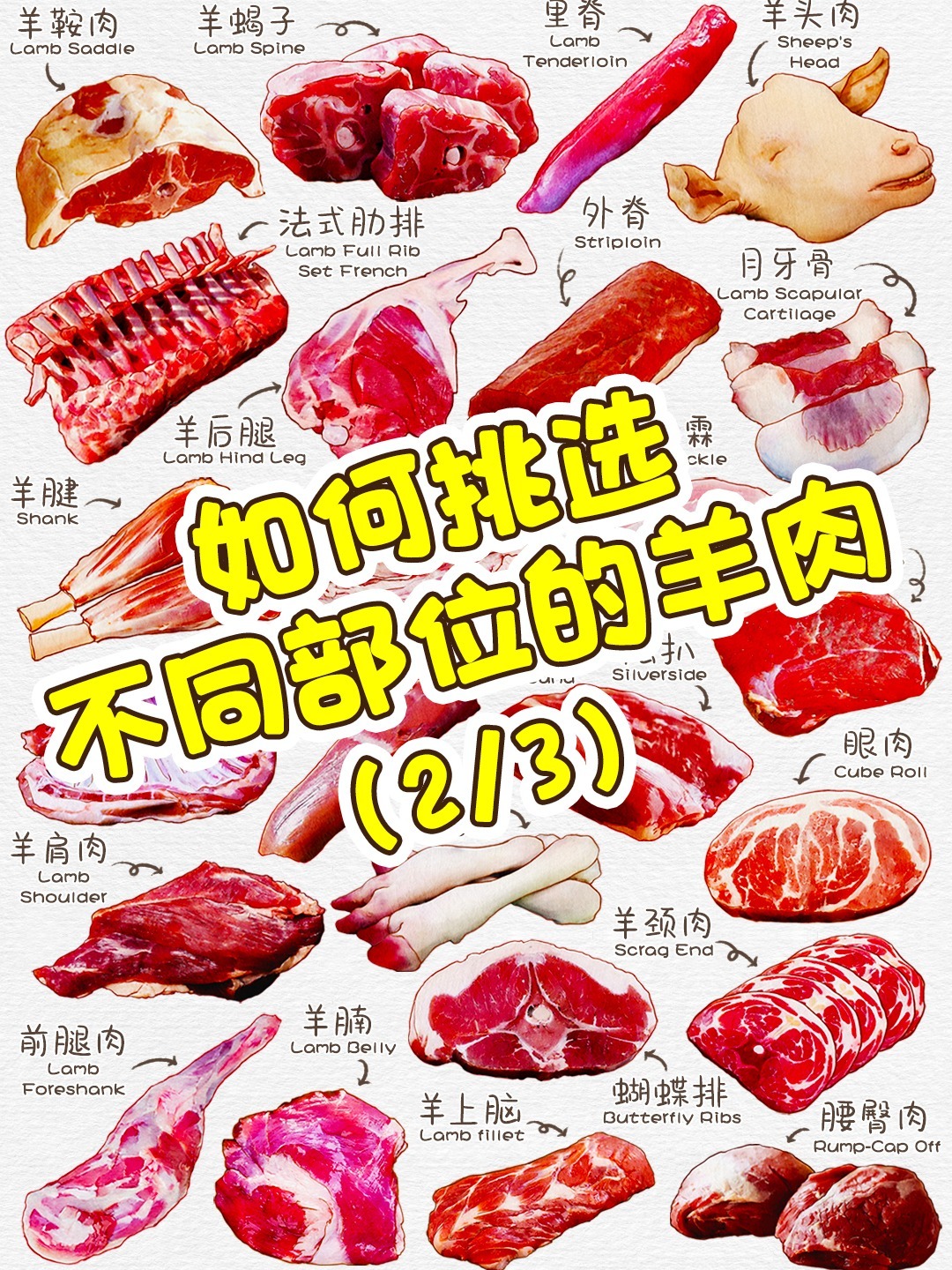 2/3不同部位的羊肉有哪些?看完秒变懂羊人