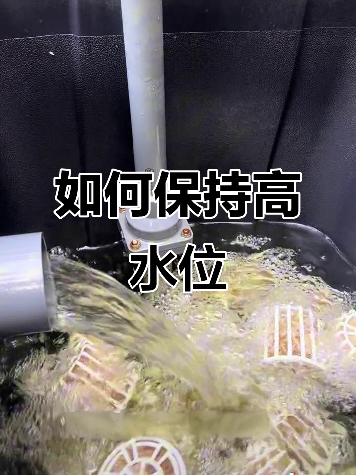 鱼缸过滤系统如何避免水被抽干?沉淀桶与流化床的技巧分享