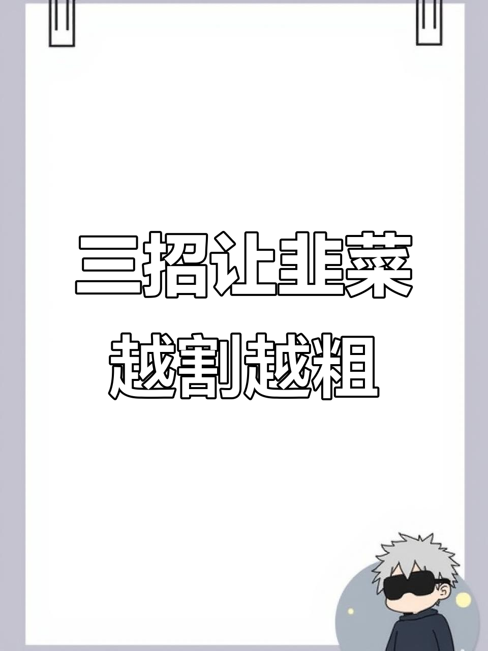 割韭菜不再细，学会这三招让根茎更粗壮