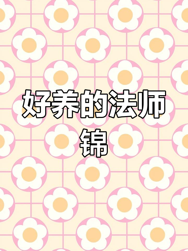 推荐耐养又便宜的法师锦品种,轻松上手