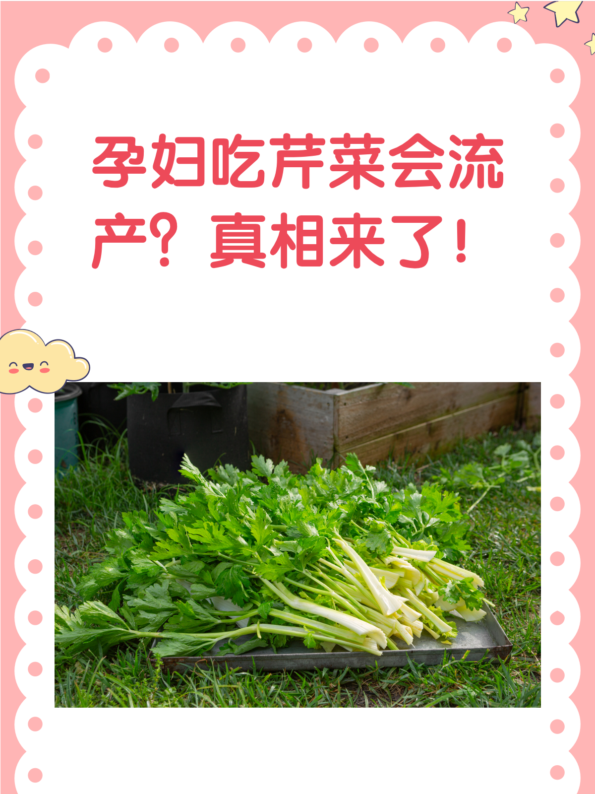 孕妇吃芹菜会流产?真相揭秘!