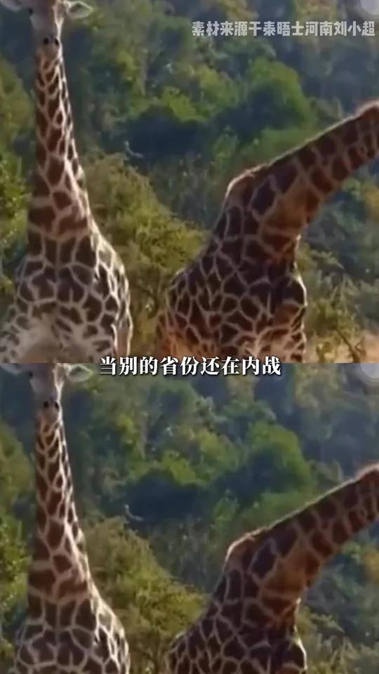 在家你叫我胡辣汤，我不挑你的理，在大不列癫，请叫我糊辣风味黑欧肉精华法式浓汤