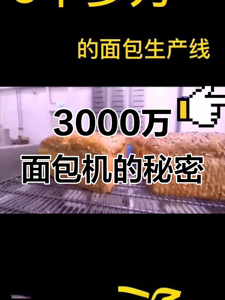 3000万面包机揭秘,全麦面包轻松搞定