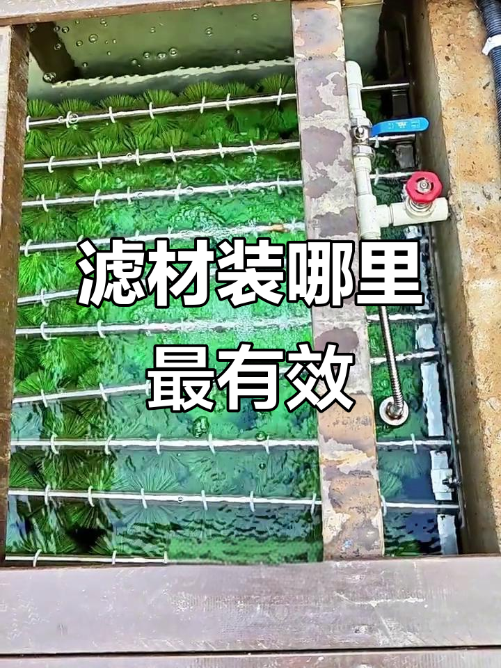 鱼池滤材安装技巧，位置不对过滤效果大打折扣