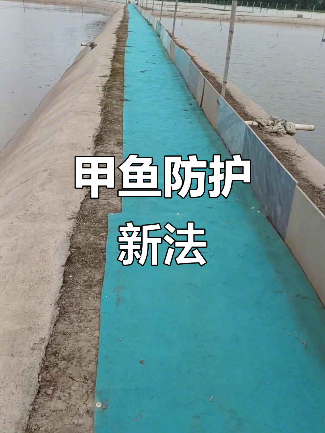 防草布保护甲鱼,避免底板损伤,创新助力客户价值