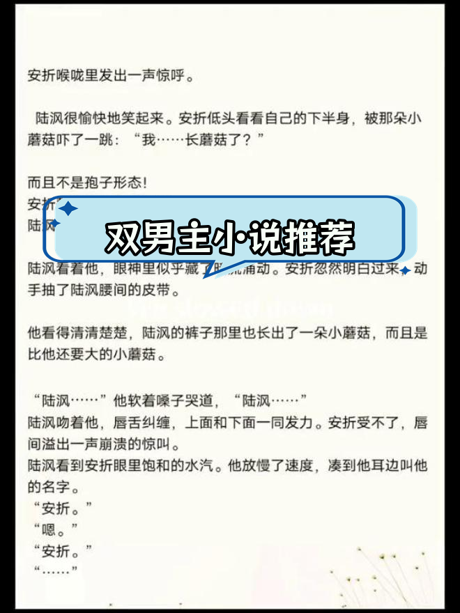 陆沨与安折的奇妙冒险