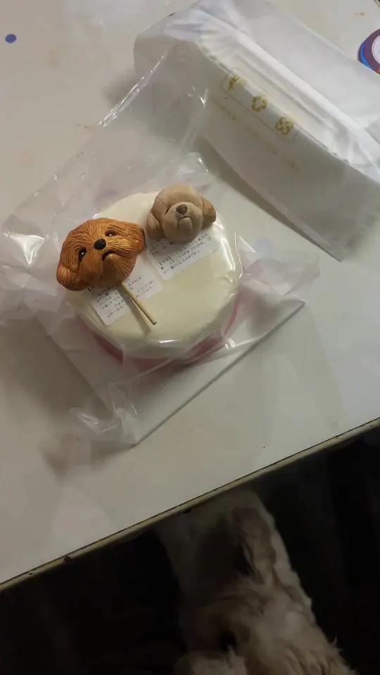 旺财干妈每年都送旺财生日蛋糕,今天晚上八点半给旺财过生日!