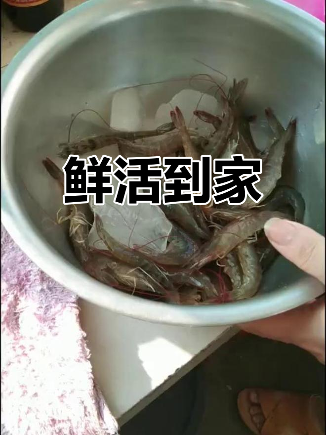 买回基围虾,干冰保鲜让它回家依旧鲜活!
