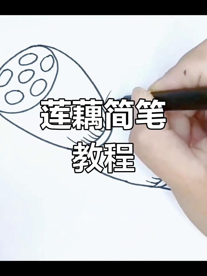莲藕简笔画,轻松学会!