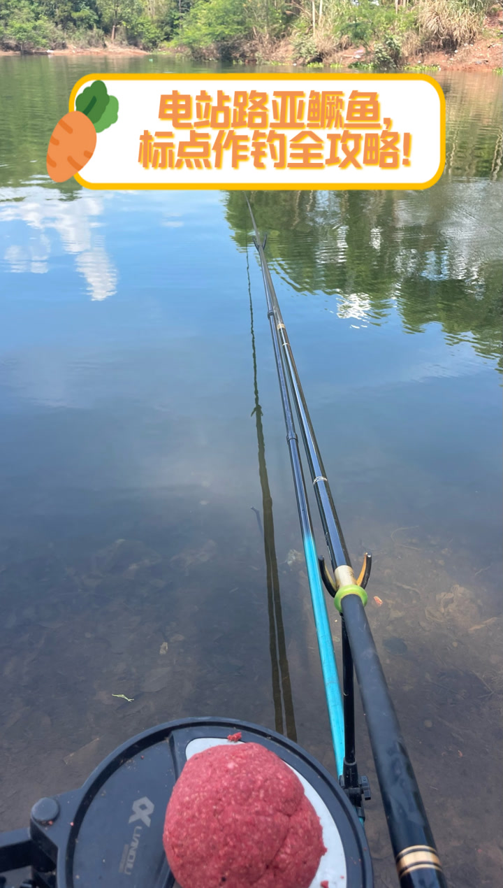 电站路亚鳜鱼，标点作钓全攻略！