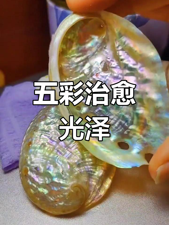 鲍鱼壳打磨后,五彩珍珠般的光泽让人心情愉悦!